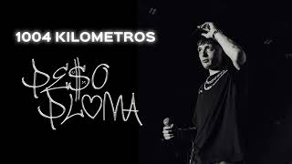 1004 KILOMETROS  Peso Pluma Cover IA [upl. by Brianna434]