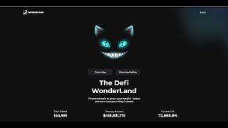 HOW MUCH MONEY I MADE STAKING WONDERLAND TIME IN ONE MONTH GOOD RESULTS [upl. by Onileva]