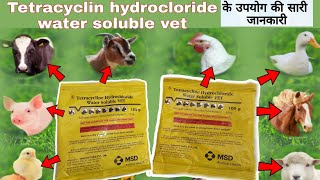 tetracycline hydrochloride water soluble vet uses in hindi veterinarymedicinereviewhindi [upl. by Repsihw]