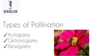 Types of Pollination in detail  Shivam Oswal [upl. by Erdnoid533]