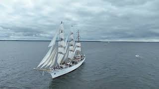 The Tall Ships Race 2024 [upl. by Akinahc571]