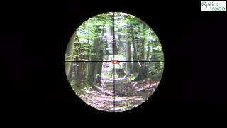 Vortex Crossfire II 412x44 reticle Vplex subtensions [upl. by Oelak]