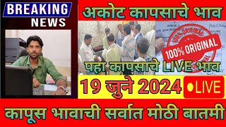 🔴19 जून 2024 अकोट कापूस भाव वाढले  Akot kapas bhav today  कापुस बाजार भाव आजचे  cotton market [upl. by Eseret]