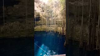 Cenote Oxman  Yucatán soyavefenix shorts cenote oxman mexico viajes yucatan asombroso [upl. by Airamesor98]