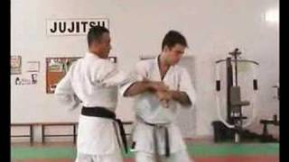 bunkai heian shodan [upl. by Adyeren]