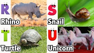 ABC Cute Animals Song  Alphabets Kids song  Learn Alphabets English and Animals for Kids Fun [upl. by Nosittam10]