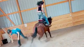 Is This A KIDS Horse or a RODEO Bronc [upl. by Eelyrag]