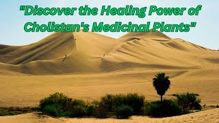 Medicinal Plants Of Cholistan Desert [upl. by Hedvig927]