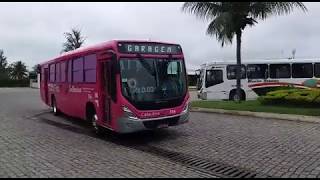 CONHEÃ‡A O Ã”NIBUS ROSA DA SALINEIRA UM TRABALHO CONSCIENTIZAÃ‡ÃƒO AO COMBATE CÃ‚NCER DE MAMA [upl. by Yenar412]