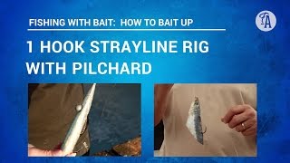 BAIT FISHING How to put PILCHARD bait on one hook STRAYLINE rig 3 ways [upl. by Venn172]