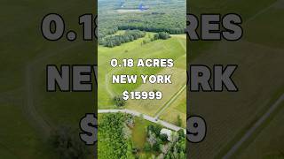 Nice Acreage for Sale in Lake Guymard New York for 15999 Taxes are 156 a year shorts property [upl. by Neelra]