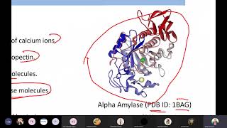 Production of Amylase Catalase Peroxidase Lipase Protease [upl. by Rebak153]