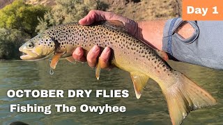 October Dry Flies  Fly Fishing on the Owyhee River  Day 1 [upl. by Olegna]