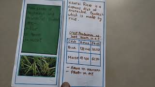 Brochure on Crops of Arunachal Pradesh and Meghalaya  How to make Brochure  School project [upl. by Det]