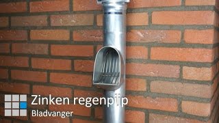 Zinken bladvanger [upl. by Cuttler]