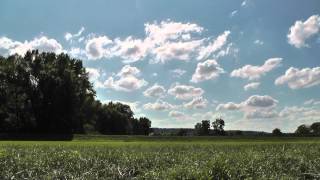 Heidenfahrt  Landschaft im Sommer [upl. by Bronwyn725]