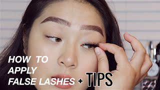 How to Apply False Lashes for Beginners  tips and tricks for Hooded Eyes  EyesOnJess [upl. by Oiuqise905]