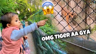 Tiger Dekha Humne 😱 OMG । Vlog 10 [upl. by Almira357]