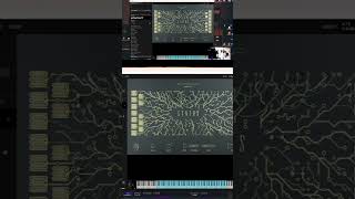 Kontakt 8 player e livrarias musicalproduction complete15 studiodynna kontaktplayer [upl. by Meesak]