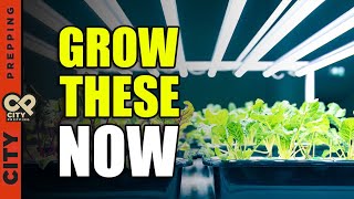 7 Easy Vegetables to Grow Indoors [upl. by Derdle]