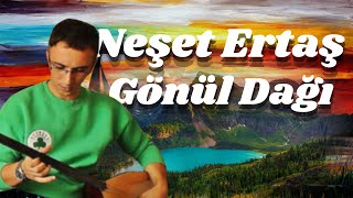 Neşet Ertaş Gönül Dağı türküsü Selim Yıldırım neşetertaş türkü neşet türküler sevdamız [upl. by Etteval]