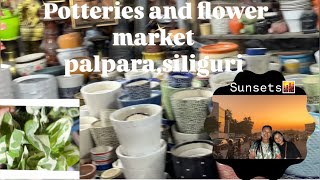 vlog The famous potteries and flower market at siliguri  Enjoying sunsets and programme🤭😅 [upl. by Kandy544]