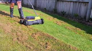 Ryegrass Lawn Renovation  Full Process Start to Finish [upl. by Ardella]