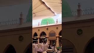 newshortsshortvideoyoutubeislamicstatusviraltendingtendingshortsnabipaakmadinalive 🤲🥺🤲🥺🤲 [upl. by Ephrayim]