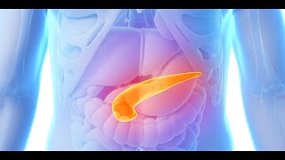 Patologie del Pancreas e Malnutrizione  Ruolo degli enzimi pancreatici sostitutivi ad alto dosaggio [upl. by Lorne990]