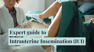 What is an IUI Expert guide to Intrauterine Insemination [upl. by Warram]