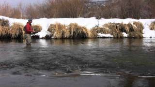 Fly Fishing Colorado Yampa River February Part 1 [upl. by Cozza711]