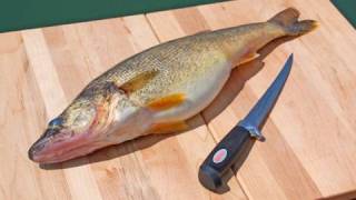 How to Fillet Fish  Freshwater [upl. by Kelley]