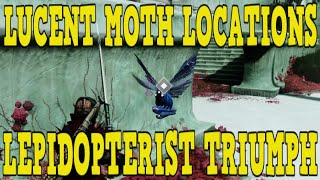 DESTINY 2  ALL LUCENT MOTH LOCATIONS FOR WEEK 2  LEPIDOPTERIST TRIUMPH GUIDE [upl. by Callean]