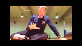 Self Myofascial Release  Hip Flexors Rectus FemorisAdductor Magnus [upl. by Jessica]