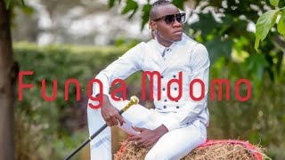 Guardian Angel  Funga Mdomo [upl. by Swinton]