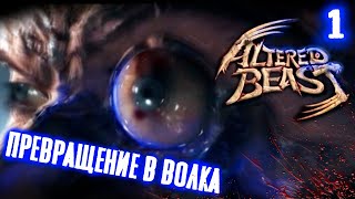 Altered Beast PS2Генетическая мутацияОборотень прохождение  1Графика оригинала [upl. by Ebony]