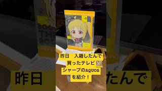 【家電紹介】シャープのAQUOSの４３型、12万円を買いました！ そして昨日、入籍しました！ 家電 テレビ aquos [upl. by Hanavas]