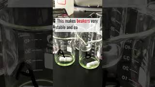 Facts About Beakers You Must Know Beaker Description  Sugar TV [upl. by Savil]