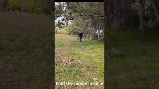 Tracking for Fun Aldinga South Australia [upl. by Ikram933]