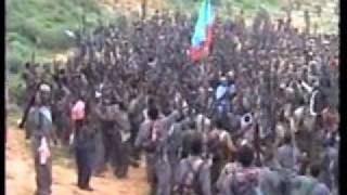 Ogaden National Anthem [upl. by Nosna455]