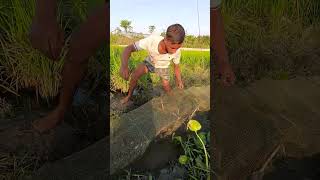 Asian Country Fishing shorts  Amazing Rural Fishing Video 🐟 Best Asian Fishing Technique shorts [upl. by Larimer]