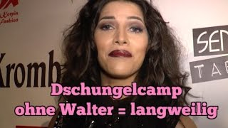 Micaela findet Walter kurios aber unterhaltsam Dschungelcamp [upl. by Laurentia]