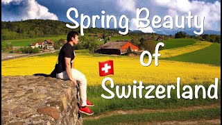 MY VISIT TO A SWISS VILLAGE IN CANTON ZÜRICH  Its Spring time in Switzerland  Drone Footage 4K [upl. by Namyh]