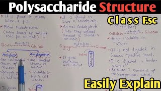 Polysaccharide Structure And Classification  Starch  Glycogen  Cellulose  Class 11 UrduHindi [upl. by Led808]