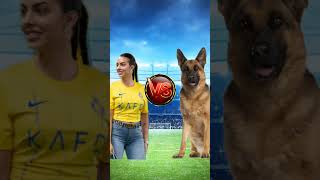 Ronaldo amp Ronaldo Jr amp Georgina VS German Shepherd amp French Bulldog amp Labrador🤔🐶vs🐐🥊🥶 shorts [upl. by German]