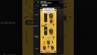 Processing your Mix before Mastering 🔥 Slate Digital [upl. by Boj789]