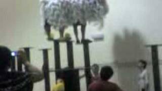 kwong ngai lion dance practice 光艺练习 [upl. by Loma]