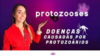 PROTOZOOSES  DOENÇAS DE PROTOZOÁRIOS  Prof Louise Medeiros [upl. by Raouf410]