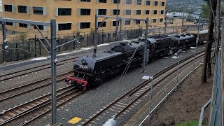 Gosford steam weekend 2024 ft all different trains day 1 [upl. by Phonsa912]