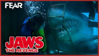 Jaws Attacks Michael Caines Plane  Jaws The Revenge  Fear [upl. by Amuwkuhc704]